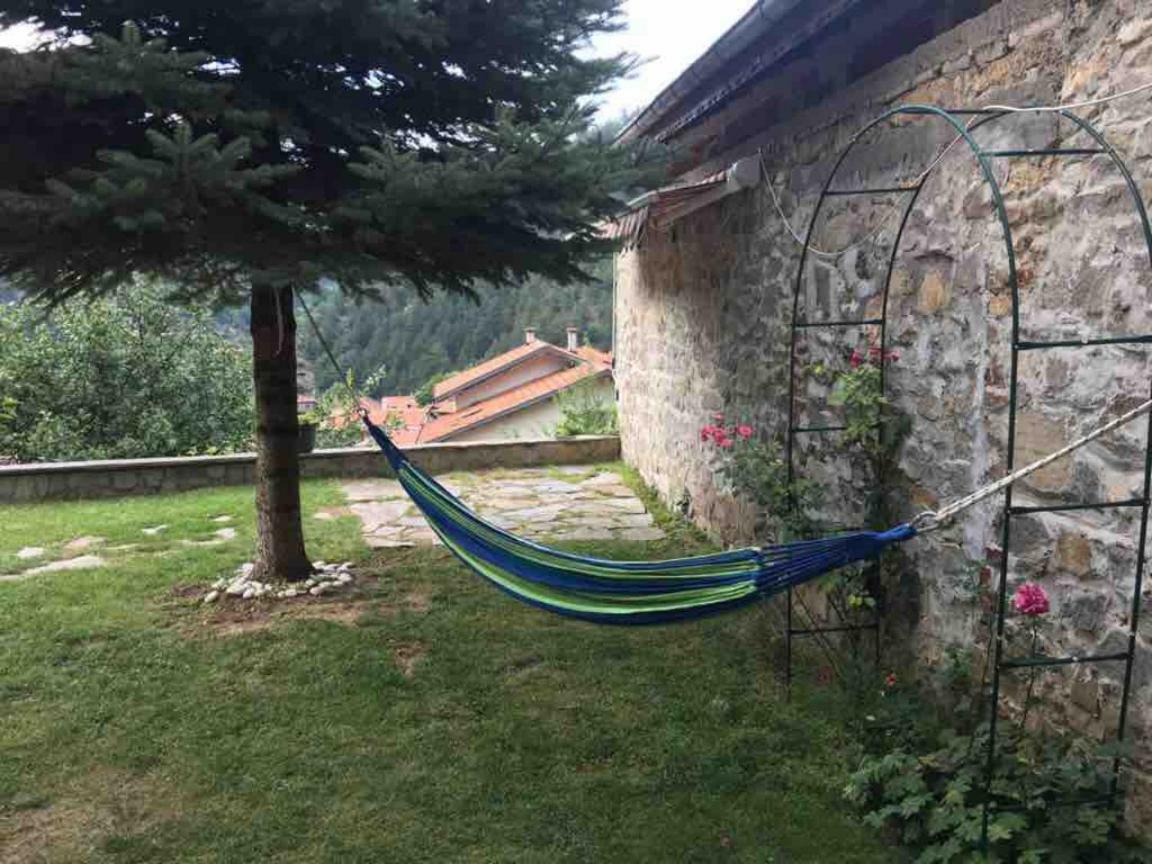 Ambrozia Spa And Relax Family House باتشكوفو المظهر الخارجي الصورة